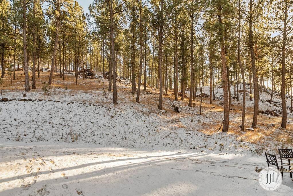 Elk Ridge Fire Place Custer Luaran gambar