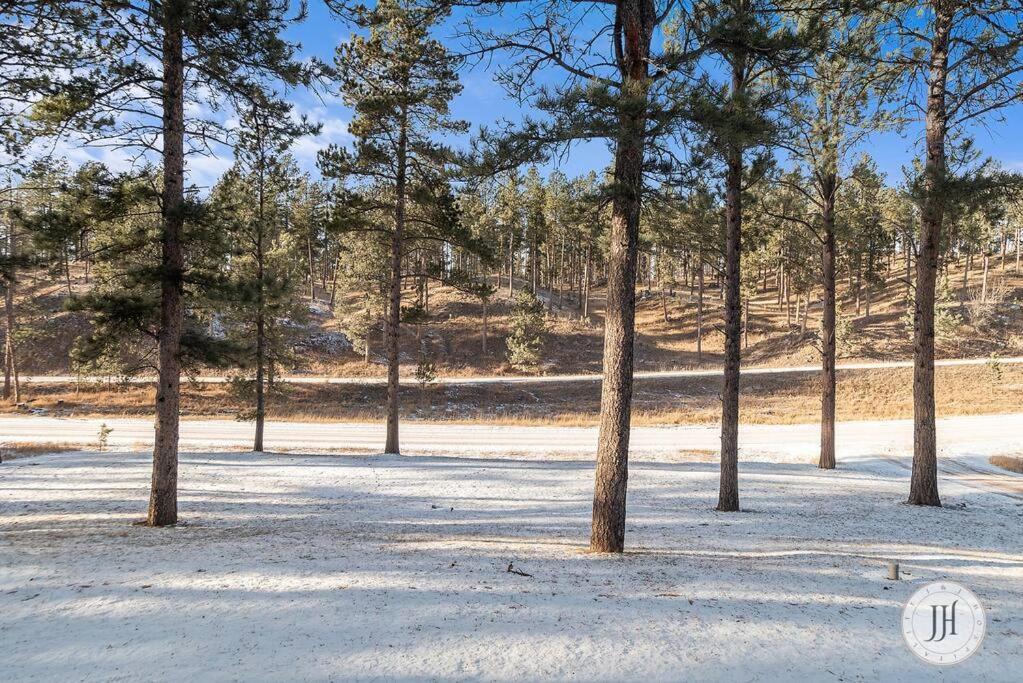 Elk Ridge Fire Place Custer Luaran gambar