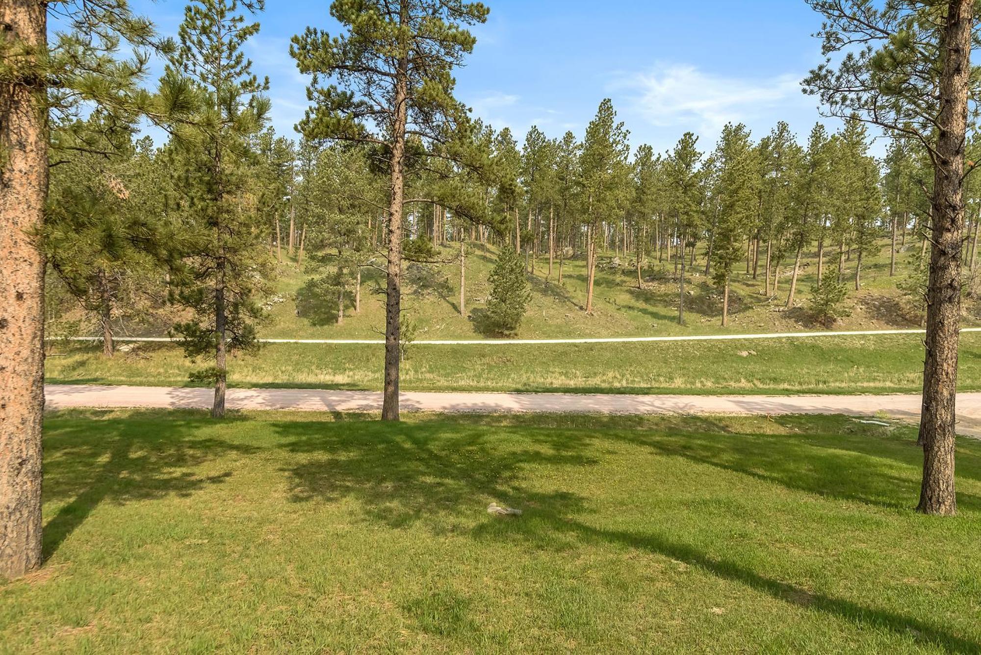 Elk Ridge Fire Place Custer Luaran gambar